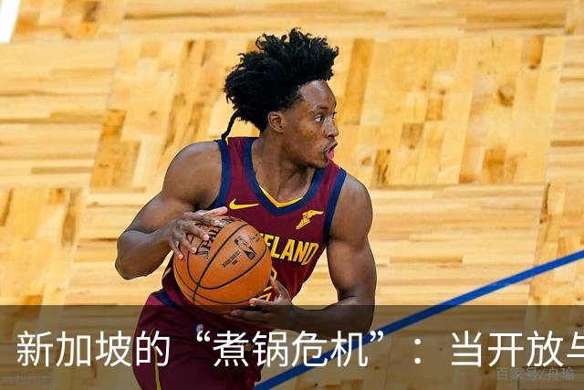 新加坡的“煮锅危机”：当开放与排外迎头相撞